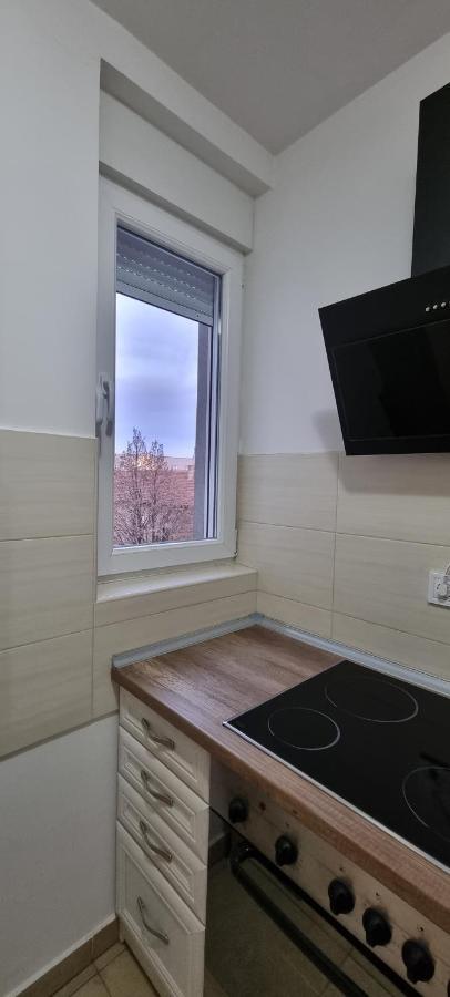 Grove II Apartment = Strict City Centre Новий Сад Екстер'єр фото